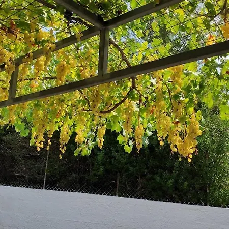 Vilă Palmera Pool