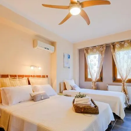 Palmera Pool Villa *