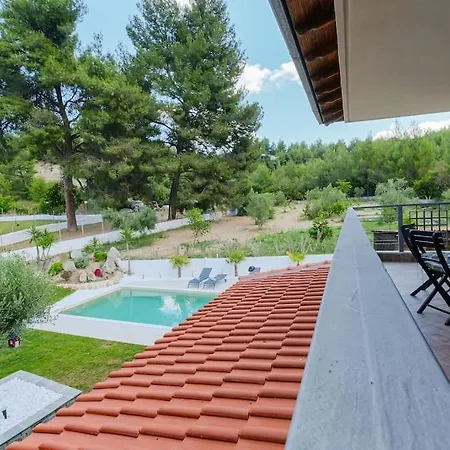 Vilă Palmera Pool