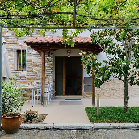 Villa Palmera Pool Chaniotis