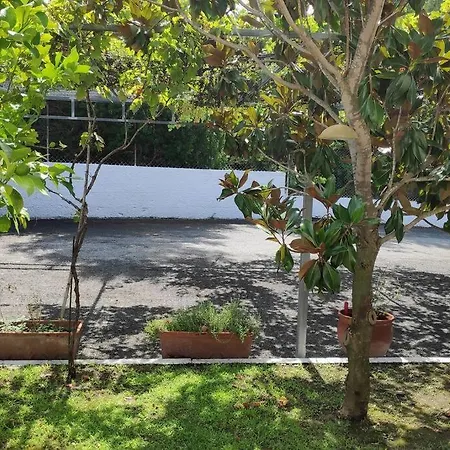 Palmera Pool