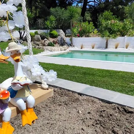 Villa Palmera Pool Chaniotis