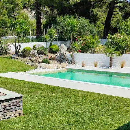 Palmera Pool Chaniotis