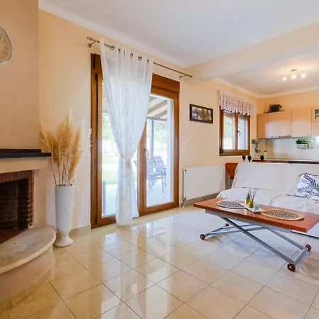 Palmera Pool * ハニオティス