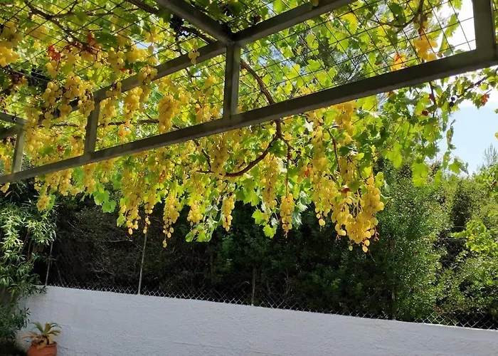 Villa Palmera Pool