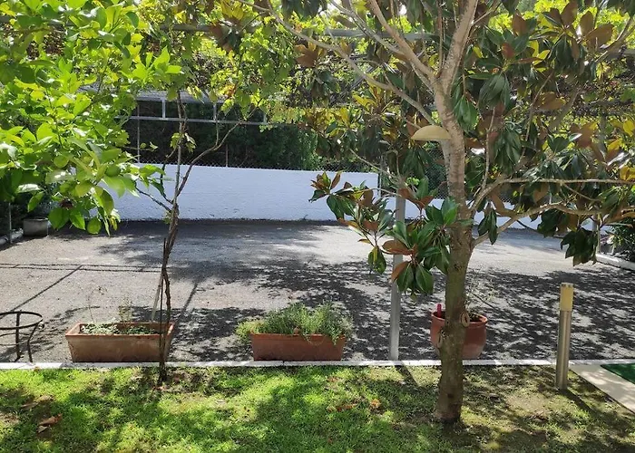 Palmera Pool